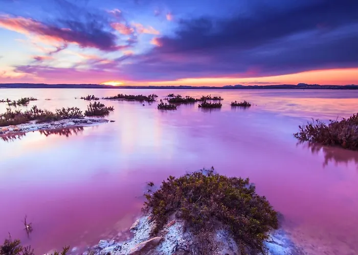 Appartement Casa Mar: Terraza Y Piscina Junto Al Mediterraneo Torrevieja